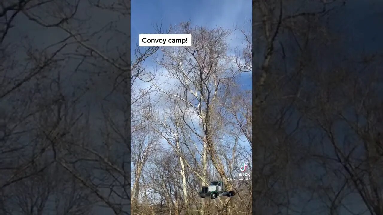 Parachuter with a flag!!