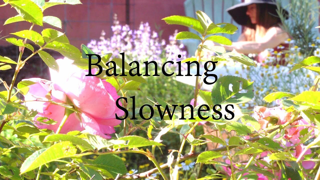 Slowness comes to me in the Garden