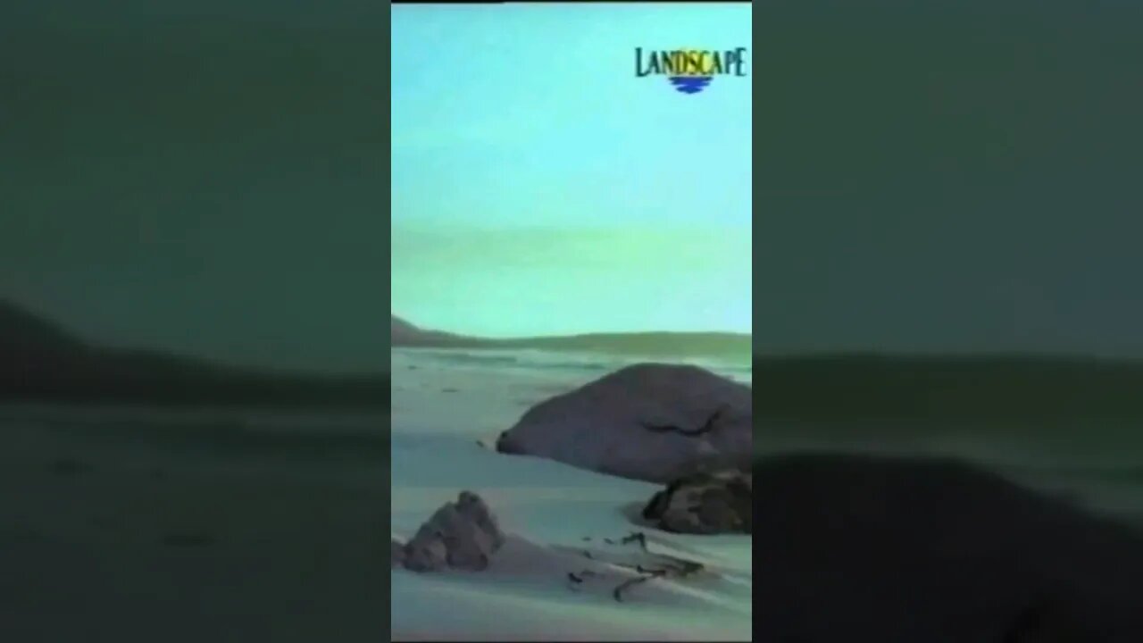 Art of Noise Robinson Crusoe The Landscape Channel #shorts #relaxingmusic #nature