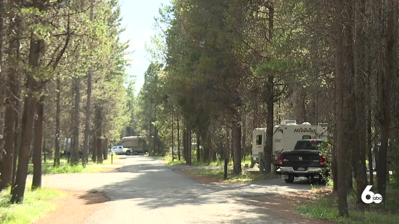 Increase in Camping Takes Toll on Forests