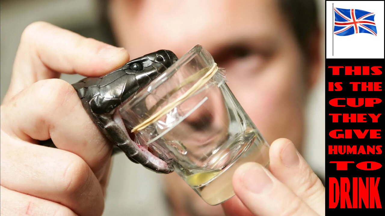 2022.04.28-Eliseo.Bonanno-HOW SNAKES KILL HUMANS