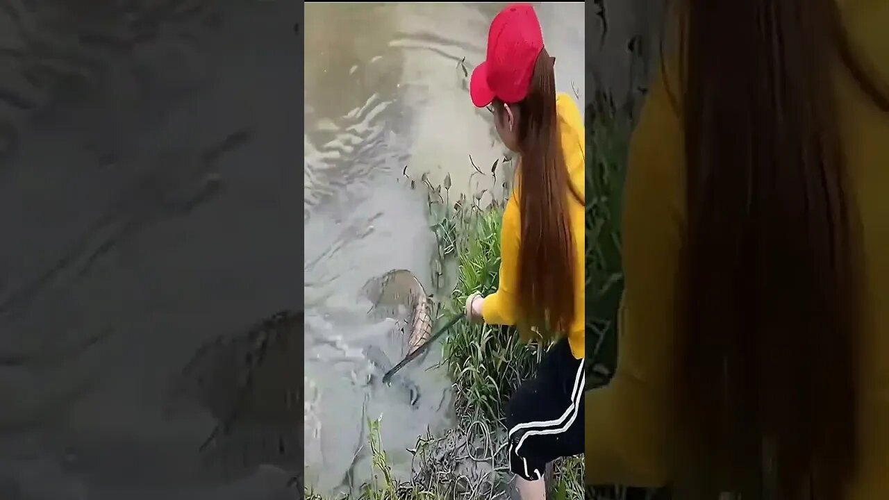 wanita cantik jala ikan monster || mancing cantik