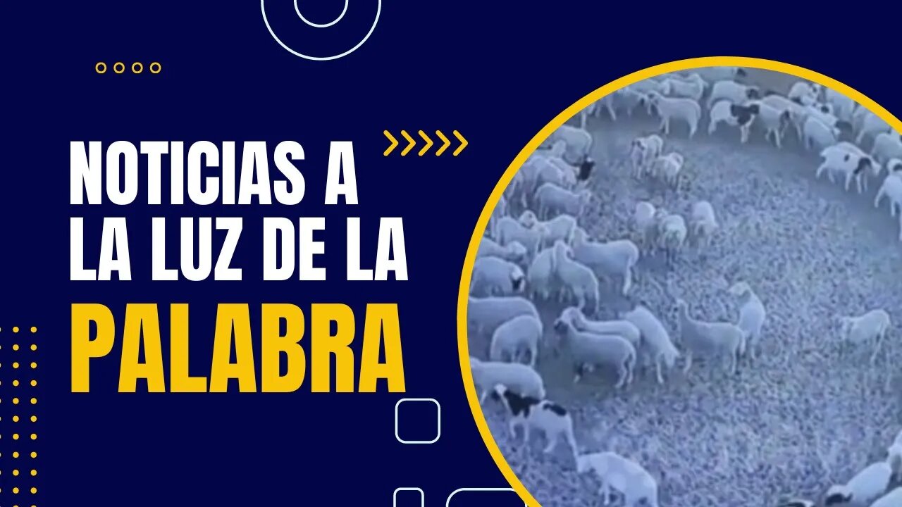 Luz en la Palabra - Ep. #68
