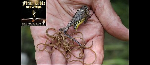 The Four Horsehair Worms of the Apocalypse: How Satan's Parasites Are Driving the World to Suicide