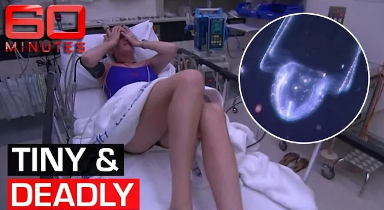 The Irukandji jellyfish_ Hunting one of the most dangerous creatures on Earth 60 Minutes Australia