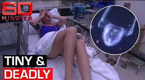 The Irukandji jellyfish_ Hunting one of the most dangerous creatures on Earth 60 Minutes Australia