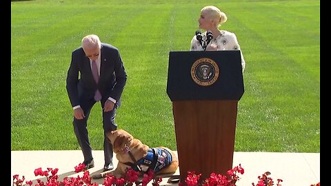 Selma Blair, President Biden and service dog spark laughter on stage