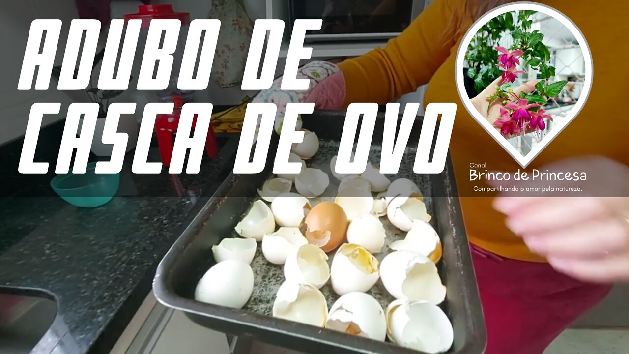 Como fazer adubo orgânico com casca de ovos