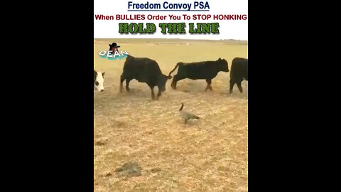 !!HONK HONK!! Freedom Convoy Bullying PSA