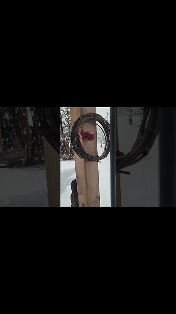 SNOWING AT THE CABIN!!