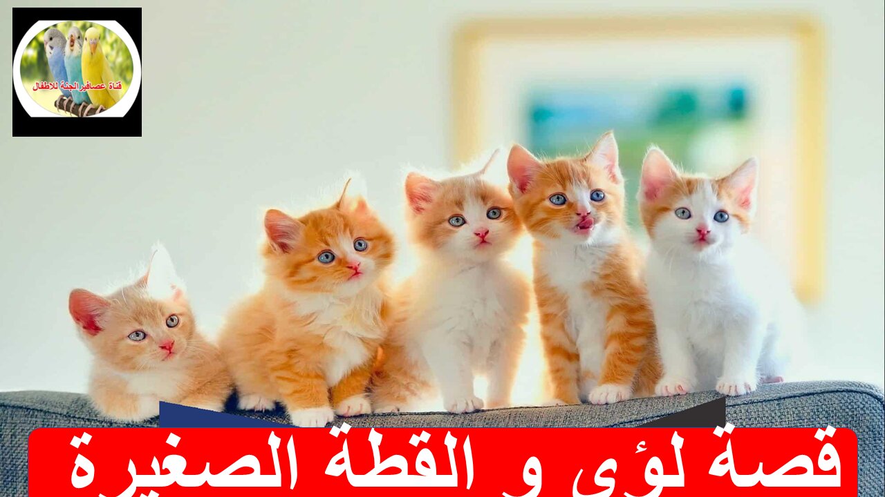 قصة لؤى و القطة الصغيرة