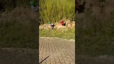 SUPER PULOS NINJAS NA CARRETA DA ALEGRIA FURACÃO, DANÇANDO FOFÃO, O MÁSKARA, BEN10 E PATATI