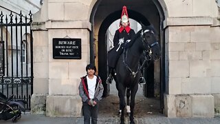 He touched the reins then thought about it #horseguardsparade