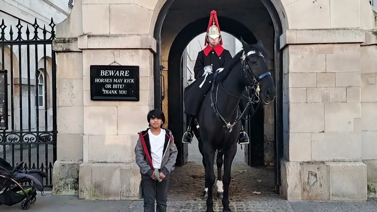 He touched the reins then thought about it #horseguardsparade