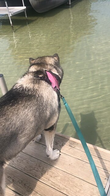 Monday August 26, He fed you with Manna.