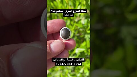 جزع بقري عين صريحة