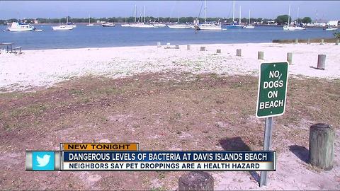 Davis Islands residents concerned about dog feces on swimming beach