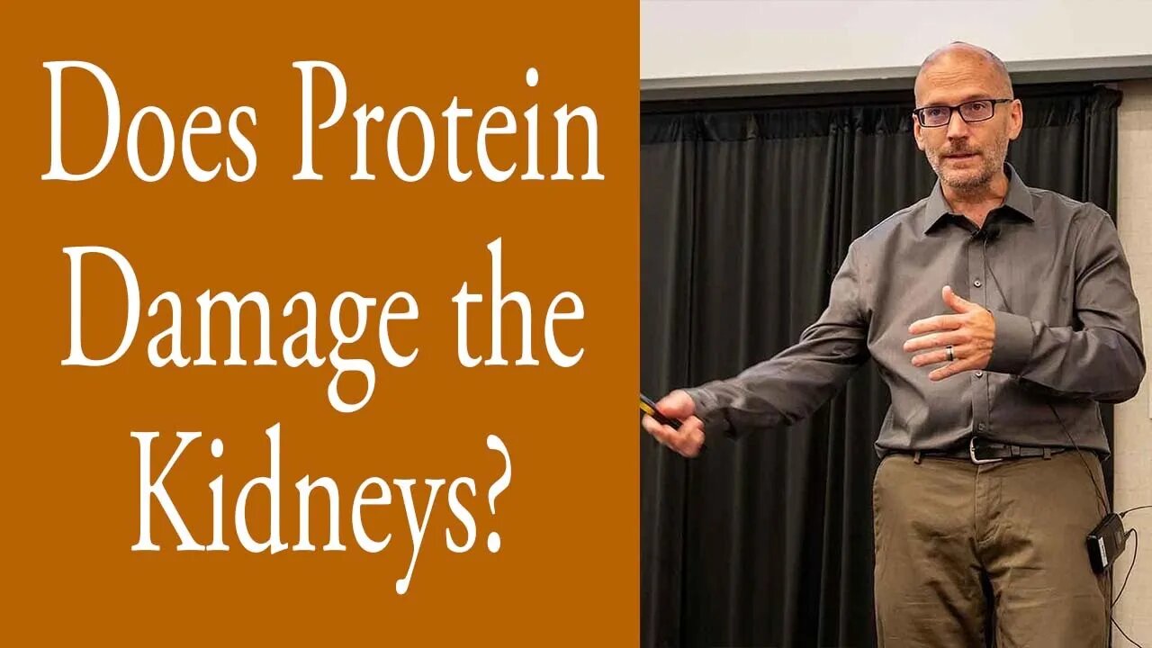 Does Protein Damage the Kidneys