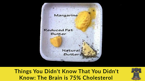 Things You Didn't Know That You Didn't Know: The Brain is 75% Cholesterol