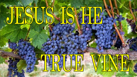 Jesus Is He TRUE Vine