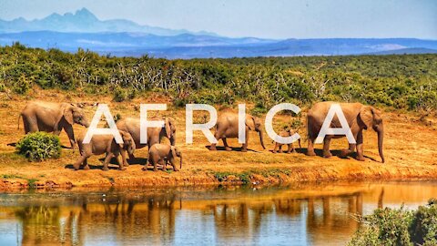 Africa 4K - Scenic Relaxation Film With Calming Music