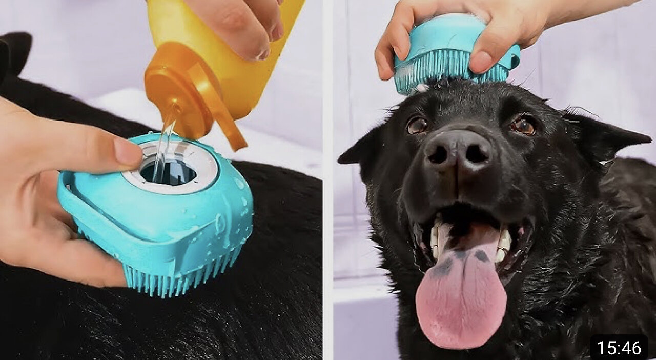 Cute And Smart Pet Gadgets, Hacks And DIY Crafts That Might Be Useful