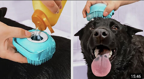 Cute And Smart Pet Gadgets, Hacks And DIY Crafts That Might Be Useful