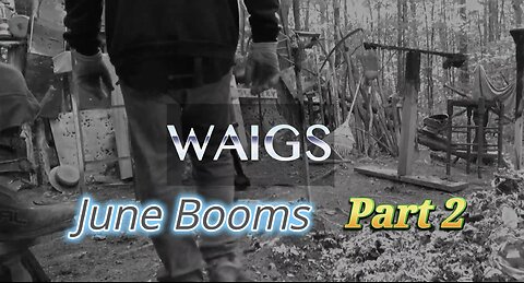 WAIGS June Boom 2