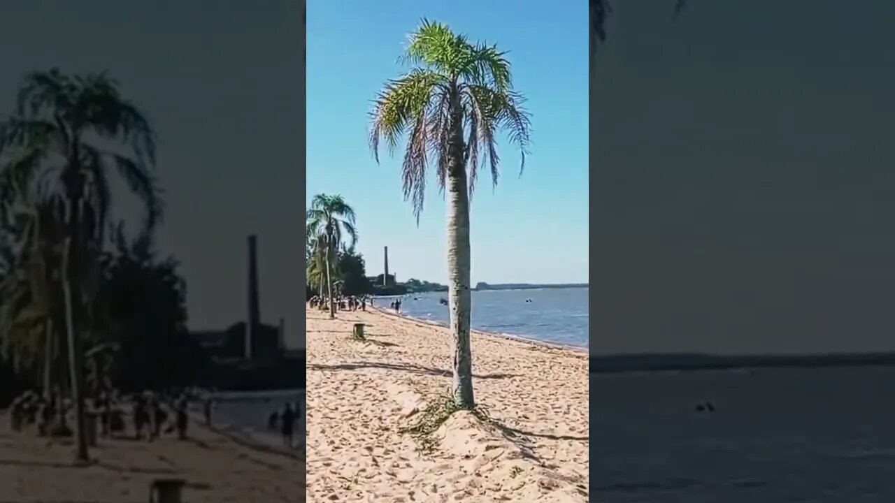 PRAIA RECANTO DA PICADA - BARRA DO RIBEIRO - RS