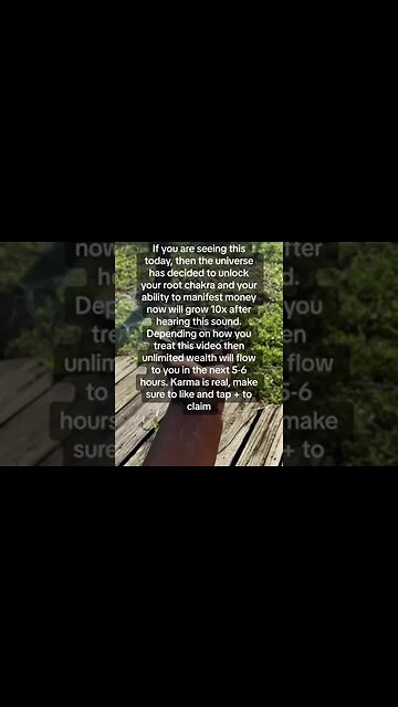 Manifest Your Millions: Wealth Creation Blueprint