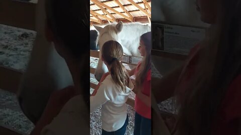 Horse with No Name?