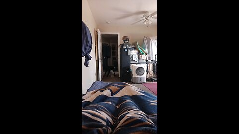 hear it fir the bi y s