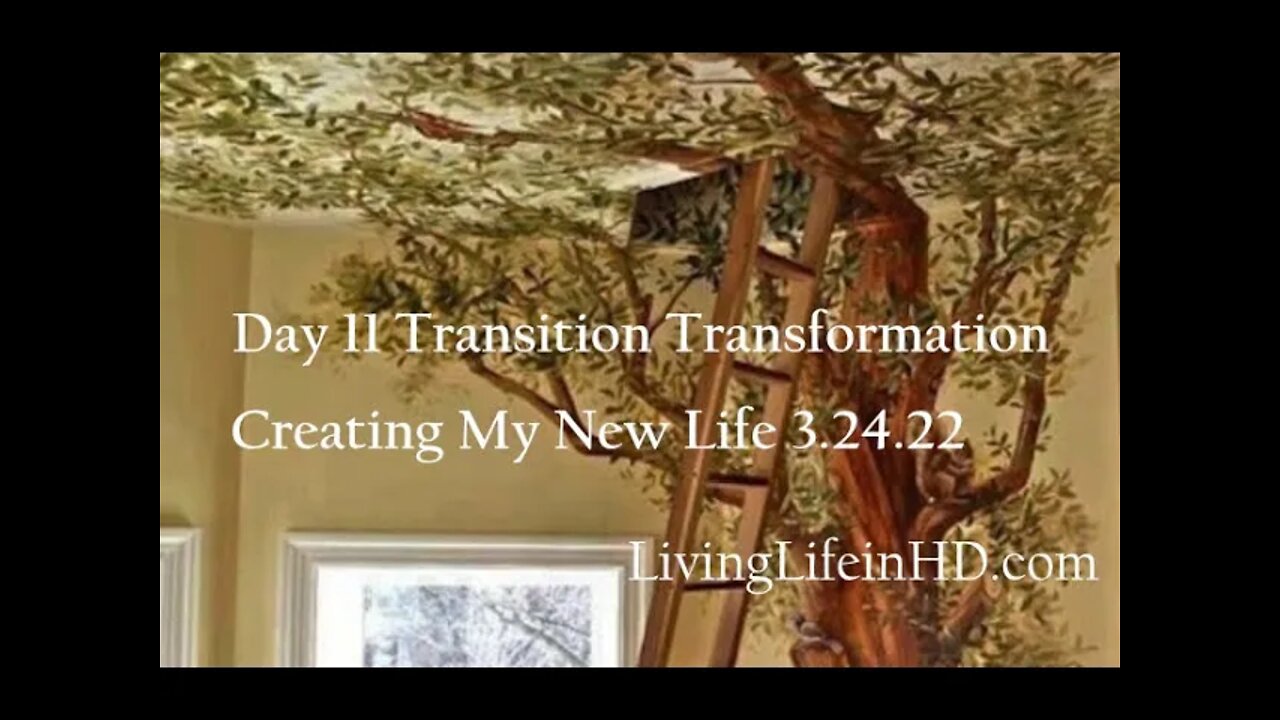 Day 11 Transition Transformation Creating My New Life 3.24.22