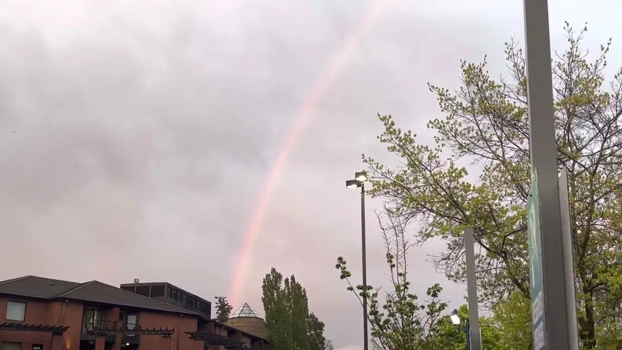 Pink Clouds & Rainbows 🌈