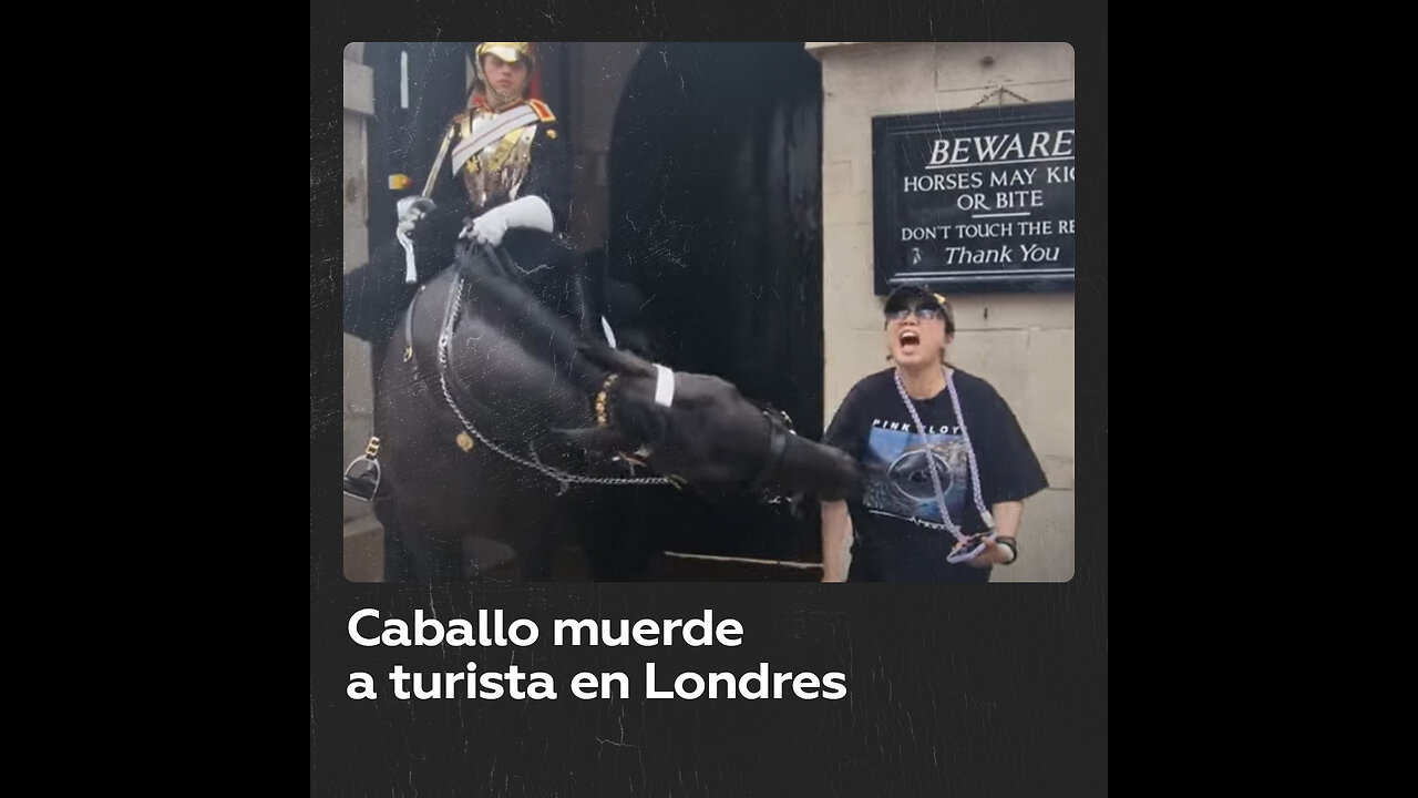 Caballo de la Guardia Real británica muerde el brazo de una turista