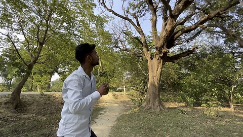 Mango todne kii tiyari