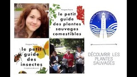 Morgane Peyrot Découvrir les plantes sauvages