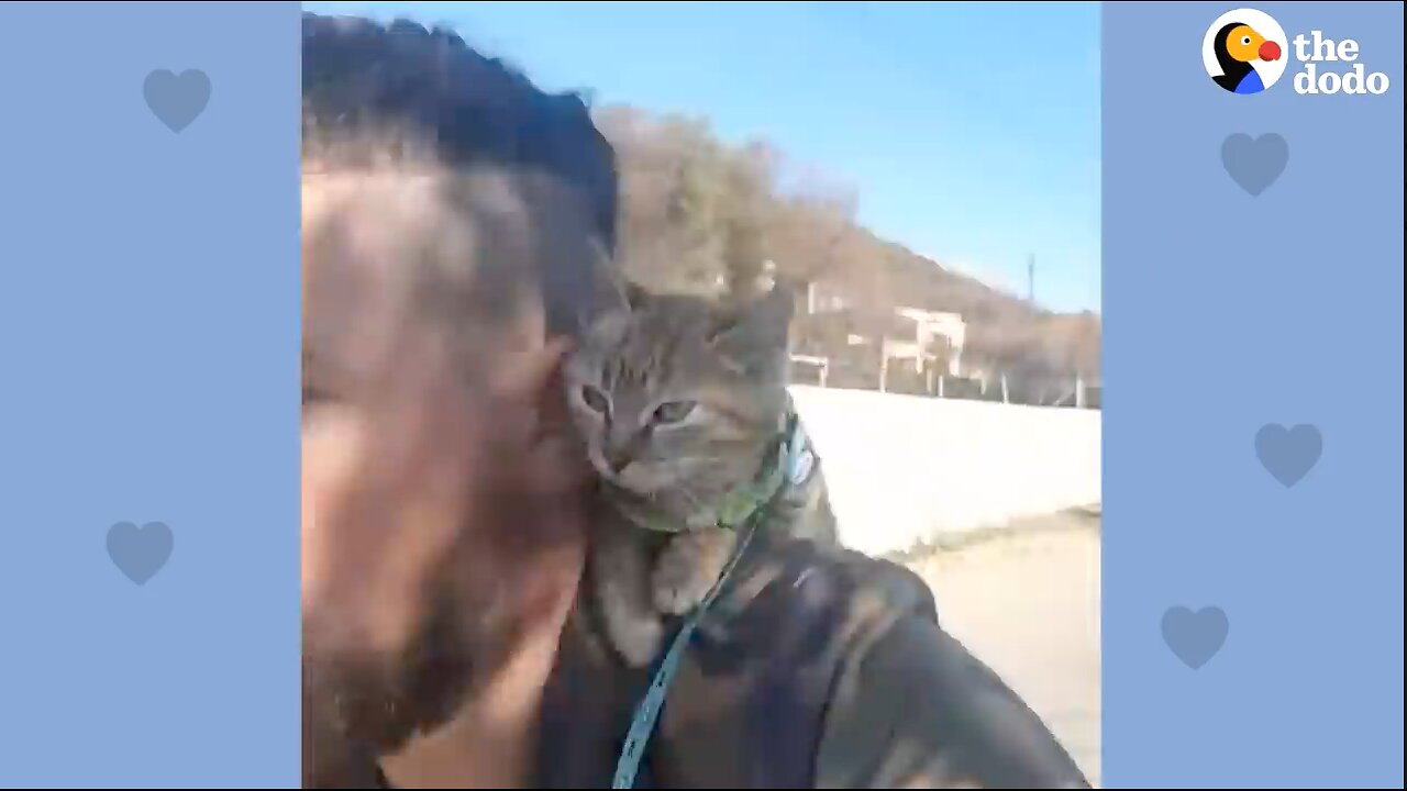 Guy finds a kitten while cycling