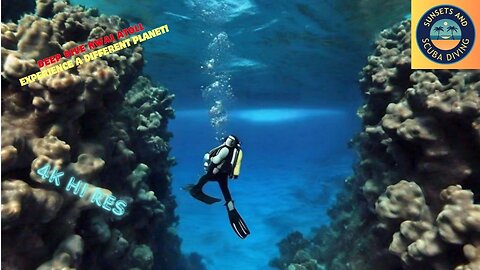 How Clown fish Became The Most Famous Fish! #nemo #trending #clownfish