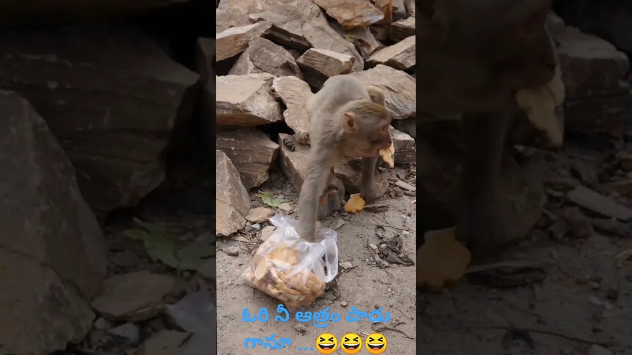 😆😆😆ఓరి నీ ఆత్రం పాడు గానూ ...😆😆😆