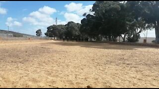 SOUTH AFRICA - Cape Town - SAPS Mounted Unit (Video) (TJ6)