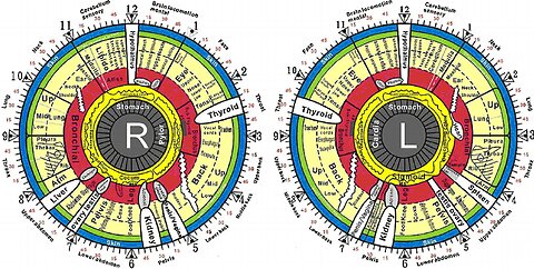Kate Shemirani: Iridology - The Amazing Eyes, What They Do & How To Care For Them