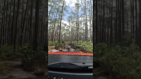 Clicking through to Mud & Ruts