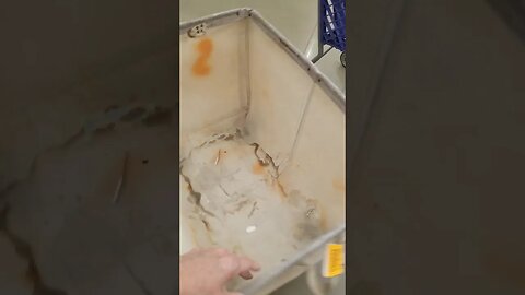 #bedbathandbeyond