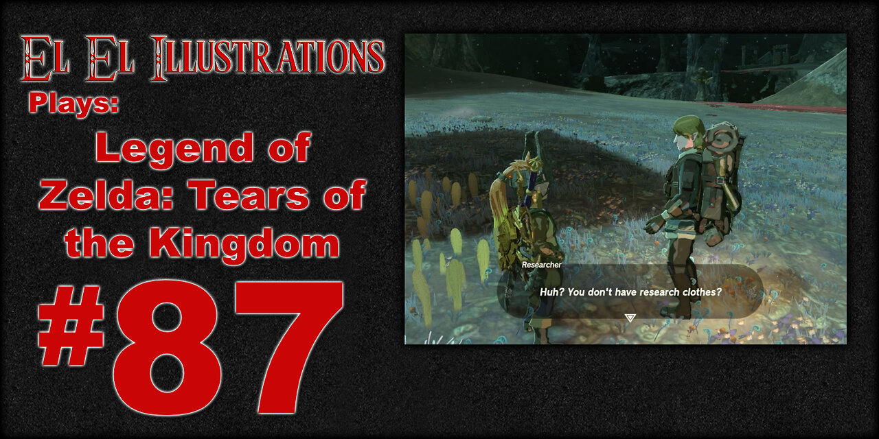 El El Plays Legend of Zelda Tears of the Kingdom Episode 87: Filling the Void