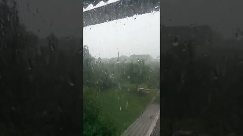 short rain shower in Lithuania #litauen #natur #shortvideo #shorts