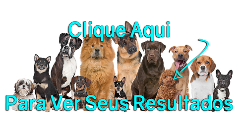 Teste: Qual raça canina você seria? Pit Bull