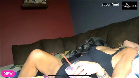 MFW Live Stream w/ Chat 3/11/2023