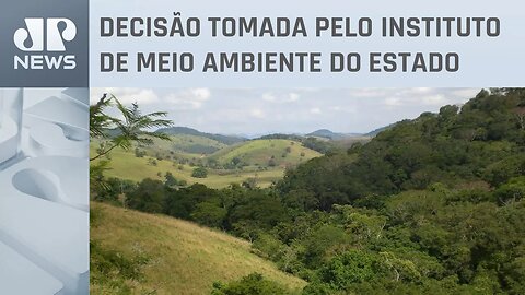 Governo da Bahia autoriza obra de resort de luxo na Mata Atlântica