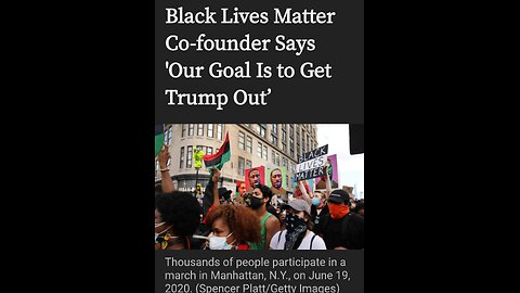 The real Insurrectionist